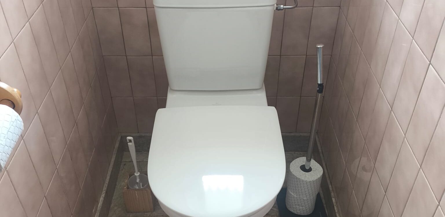 Plombier &agrave; Colmar : Intervention pour le remplacement de WC &agrave; Neuf-Brisach Colmar